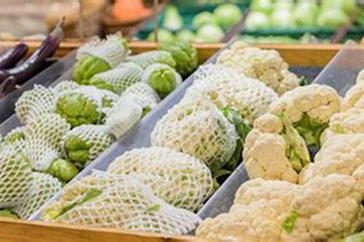 兰草用什么肥最好