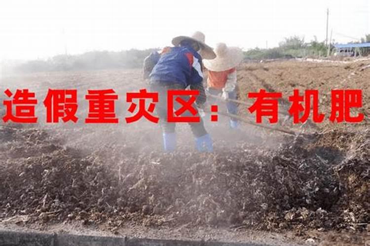 甘蔗施什么肥最好