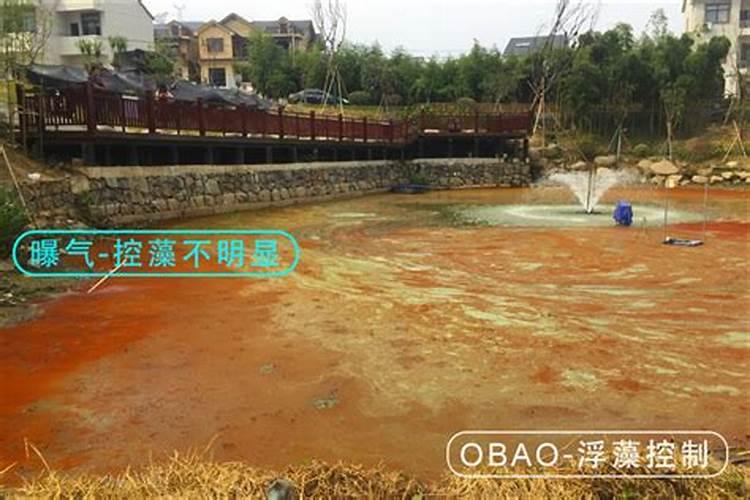 对虾养殖知识:肥水有什么好处？