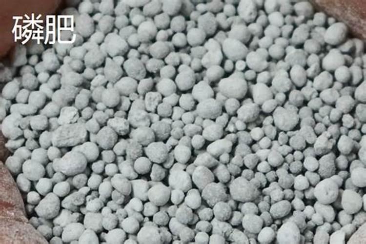 氮磷钾中微量元素是一种肥料吗 分别是什么肥料