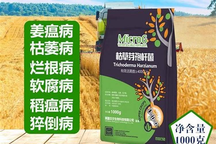 哈茨木霉菌的作用是什么？