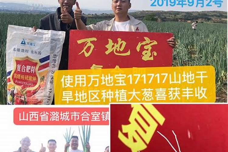 全稼福复合肥能施大葱吗