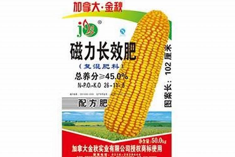 最好的玉米专用肥