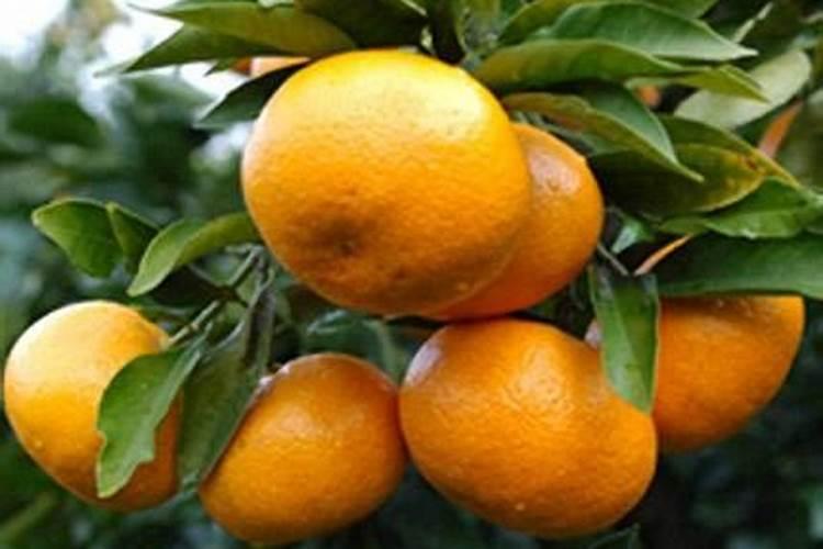 氢氧化钾是钾肥吗