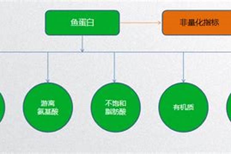 真正的鱼蛋白有味道吗？