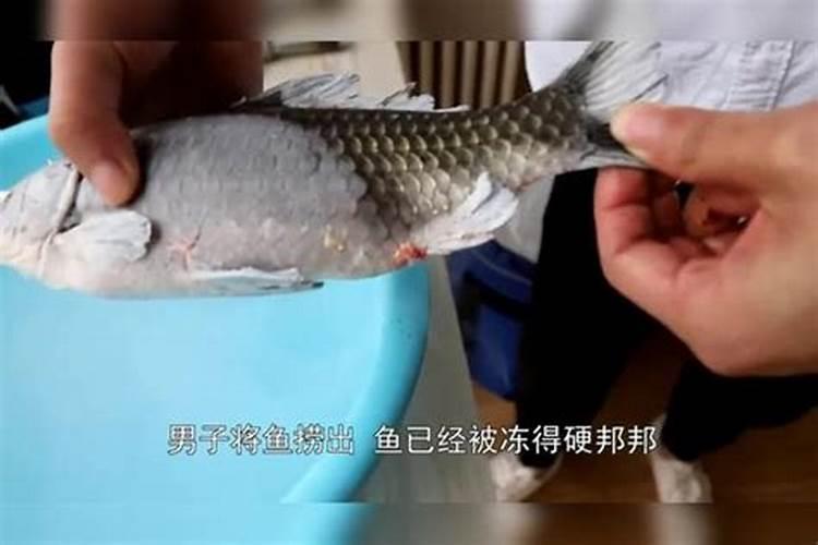蓝莓怎样施肥,蓝莓种植时间和方法