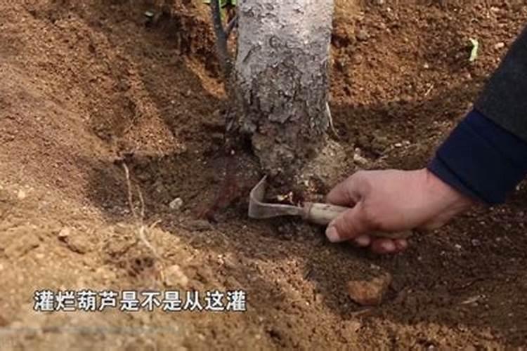 自制水溶肥配比表水溶肥如何使用
