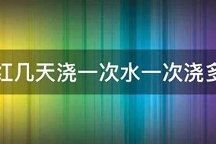 一串红怎么繁殖,播种/扦插繁殖方法(附养殖方法)