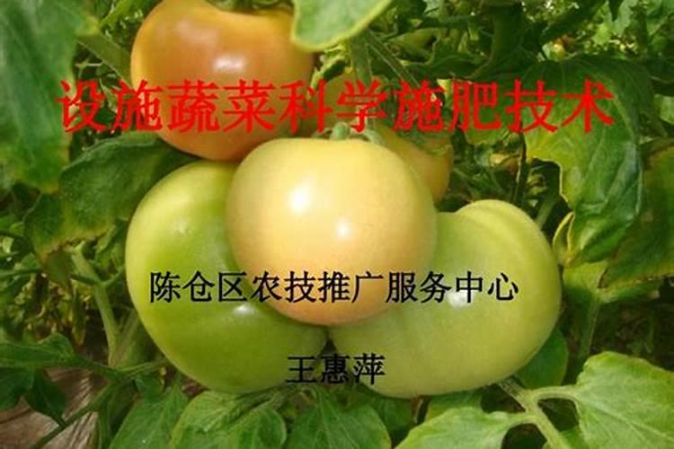 钙肥的作用及施用方法 钙肥对作物的主要作用