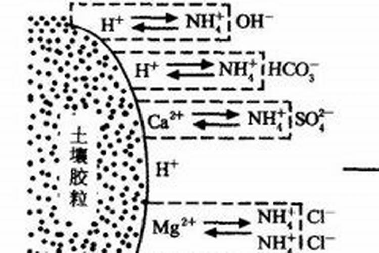 铵态氮肥为什么要深施覆土 铵态氮肥有哪些