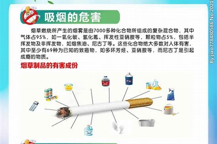 吃菜葫芦有什么坏处