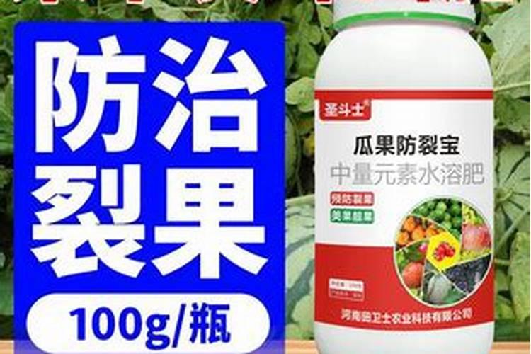 冬瓜裂果很常见,冬瓜裂果要怎么防治？