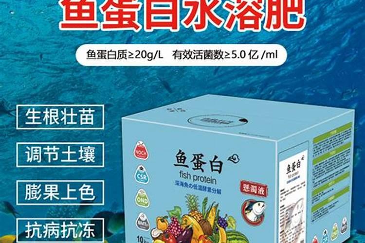 柑橘树上可以冲施矿源和鱼蛋白吗？