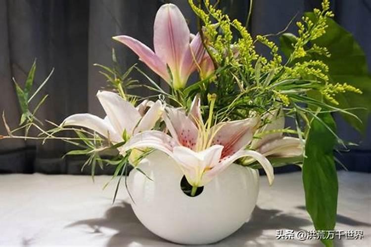 油菜什么时候打硼肥最合适