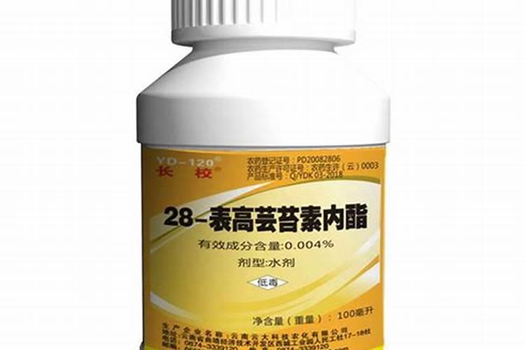 芸苔素浓度过高有哪些危害