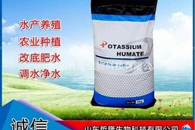 谁知道山东地区腐植酸(风化煤)价格？