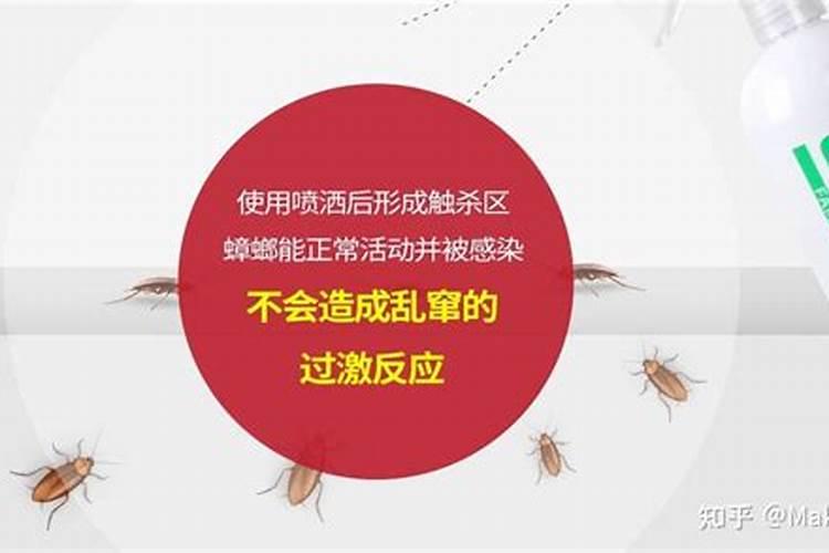 毒死蜱可以和高钾肥冲施吗？