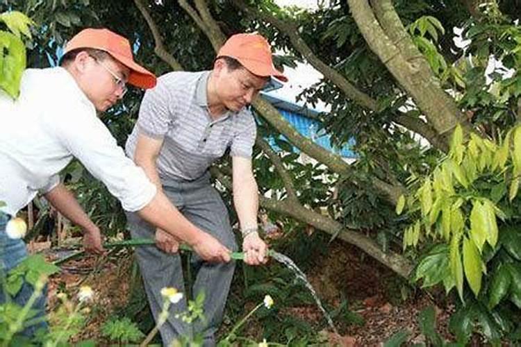 鱼油和鱼蛋白哪种做肥料好