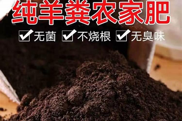 花肥去哪里买