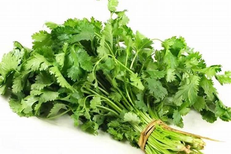 香菜叶斑病危害叶面,香菜叶斑病用什么药效果好呢？