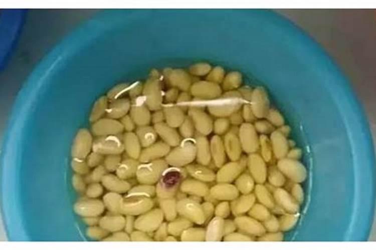 玉米追肥上什么肥料好