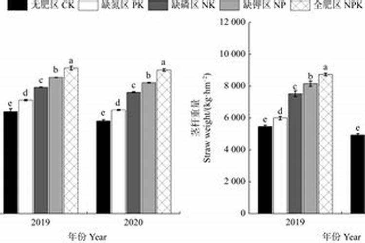 种植黄瓜、菜瓜等瓜类作物,要避开哪些施肥误区？
