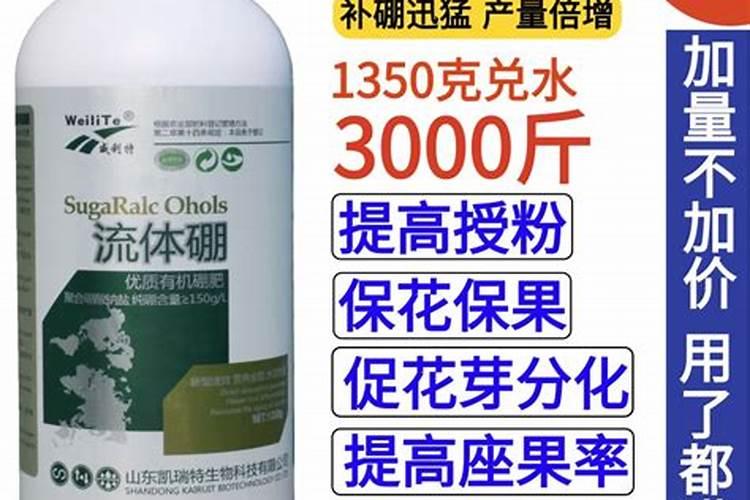 果树硼肥啥时施最佳