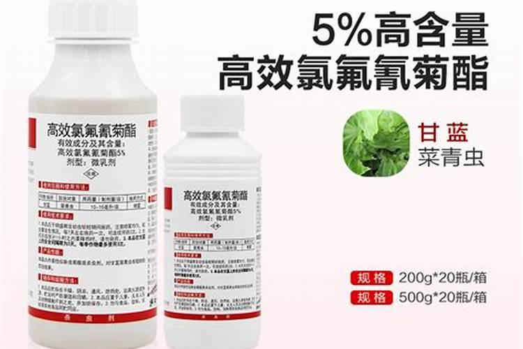 梨树的花期管理