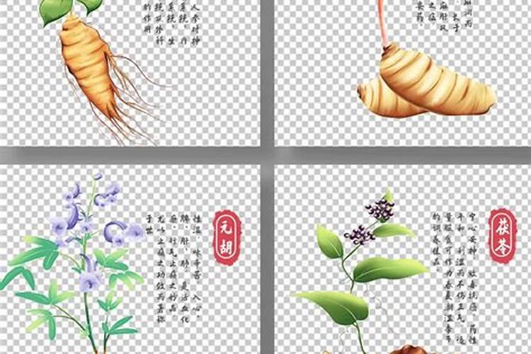 中药中都含有那些生命动力元素？