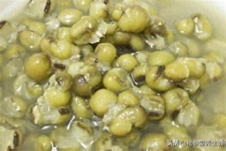 绿豆做培养基需要提前浸泡吗