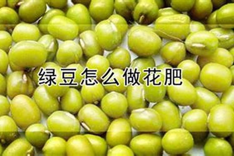 种绿豆用什么肥料好