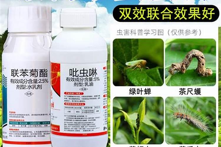 防治茶树病虫使用的波尔多液是什么？