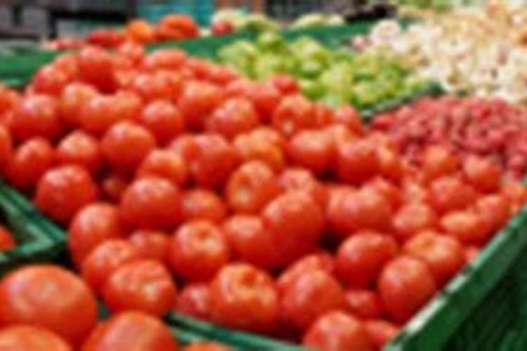 大棚里种植西红柿怎么施肥最好