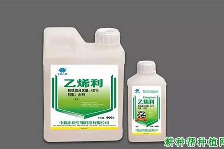 乙烯利不能和哪些农药混用
