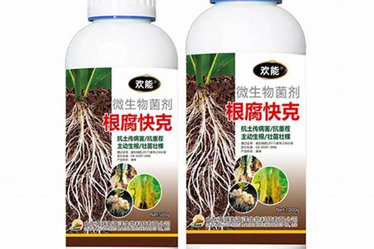 第三代和第四代的棉铃虫和斜纹夜蛾用什么药打的死。(棉花上面的)百度...