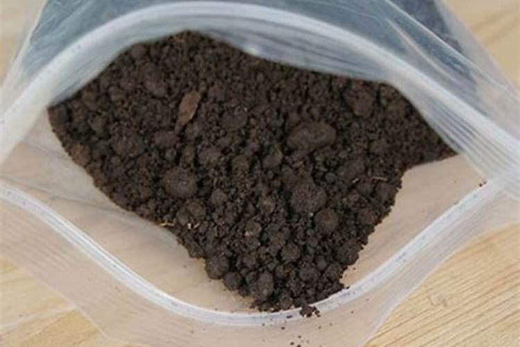 蚯蚓粪的使用方法
