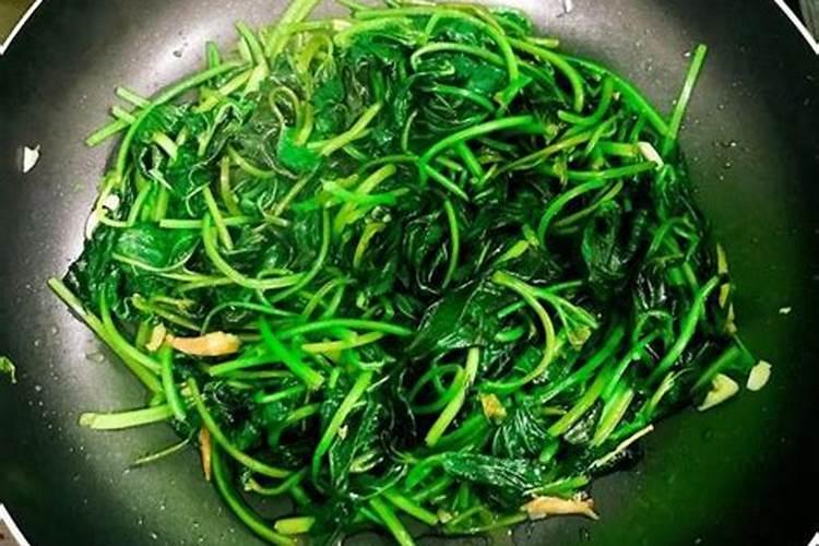 种白菜用什么肥料最好