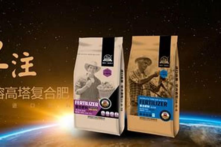 国槐施什么肥最好