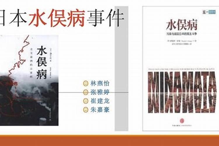 日本水俣病事件的事后反思