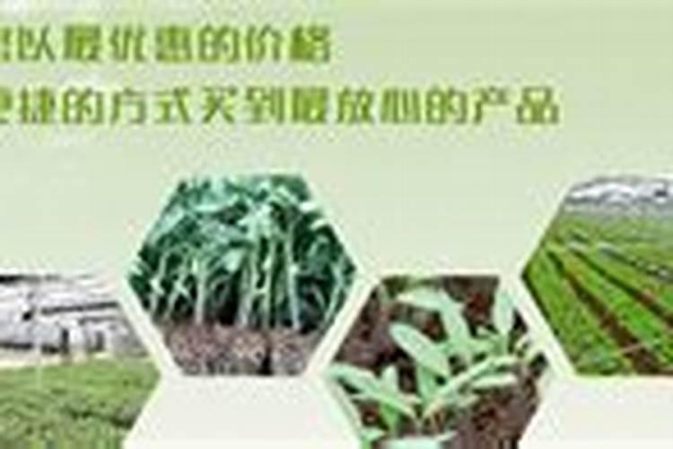 效果最好的进口水溶肥有哪些品牌,适合用在哪些农作物上？