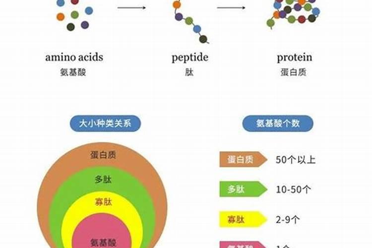 鱼蛋白桶肥对作物效果好处,鱼蛋白桶肥功能和效果