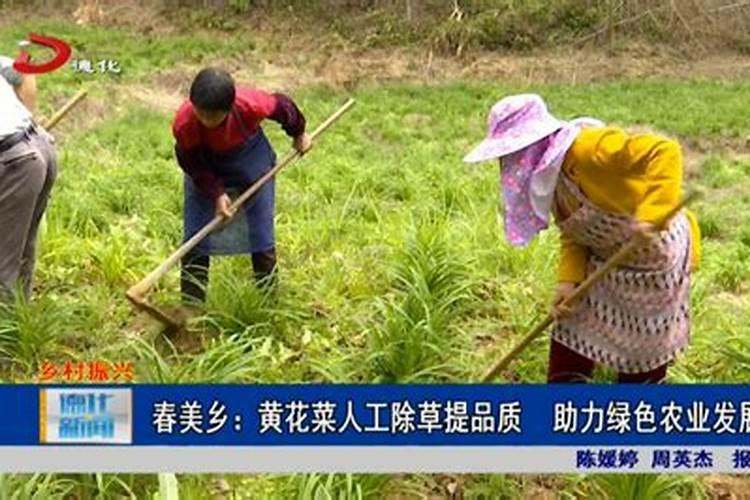 螺虫噻虫嗪打重会有药害吗