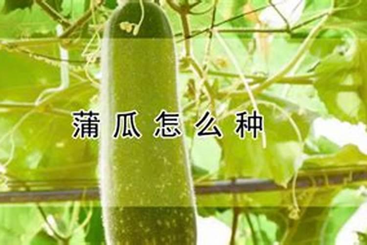 罗布泊水溶肥的主要应用效果是什么？
