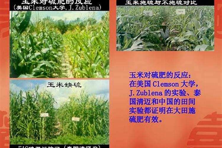 施肥过多会导致什么现象