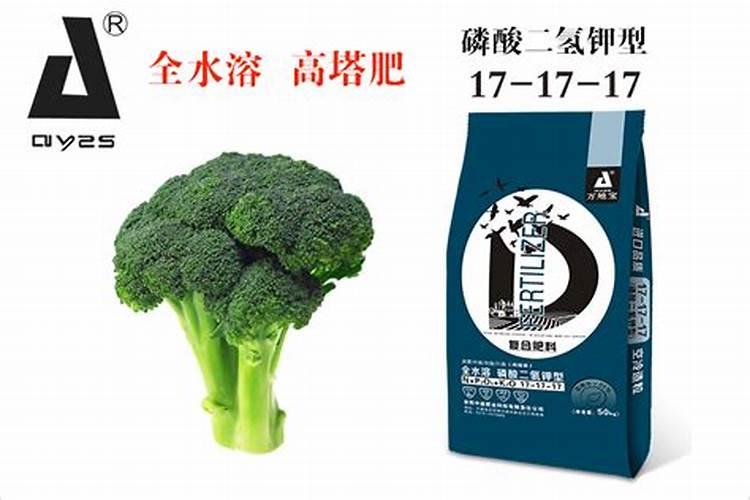 西兰花缺硼的表现 增强吸水吸肥能力