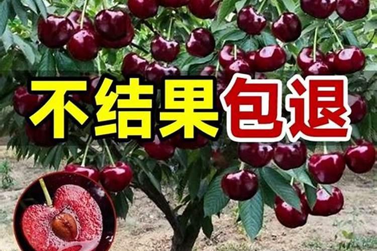氮肥钾肥施肥时间和方法 氮肥钾肥施肥时间和方法分别是