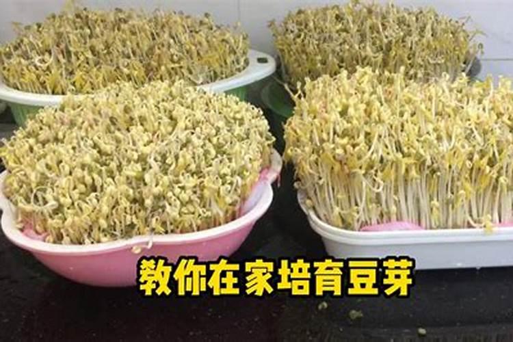 检验一种化肥是铵盐氮肥的方法是(科学方法)