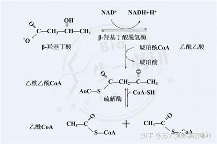 硝酸磷肥如何使用？硝酸磷肥的作用