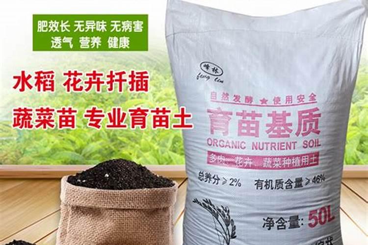 育苗用什么土育苗用什么肥料