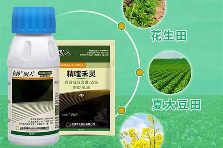 打了精喹禾灵可以施肥吗